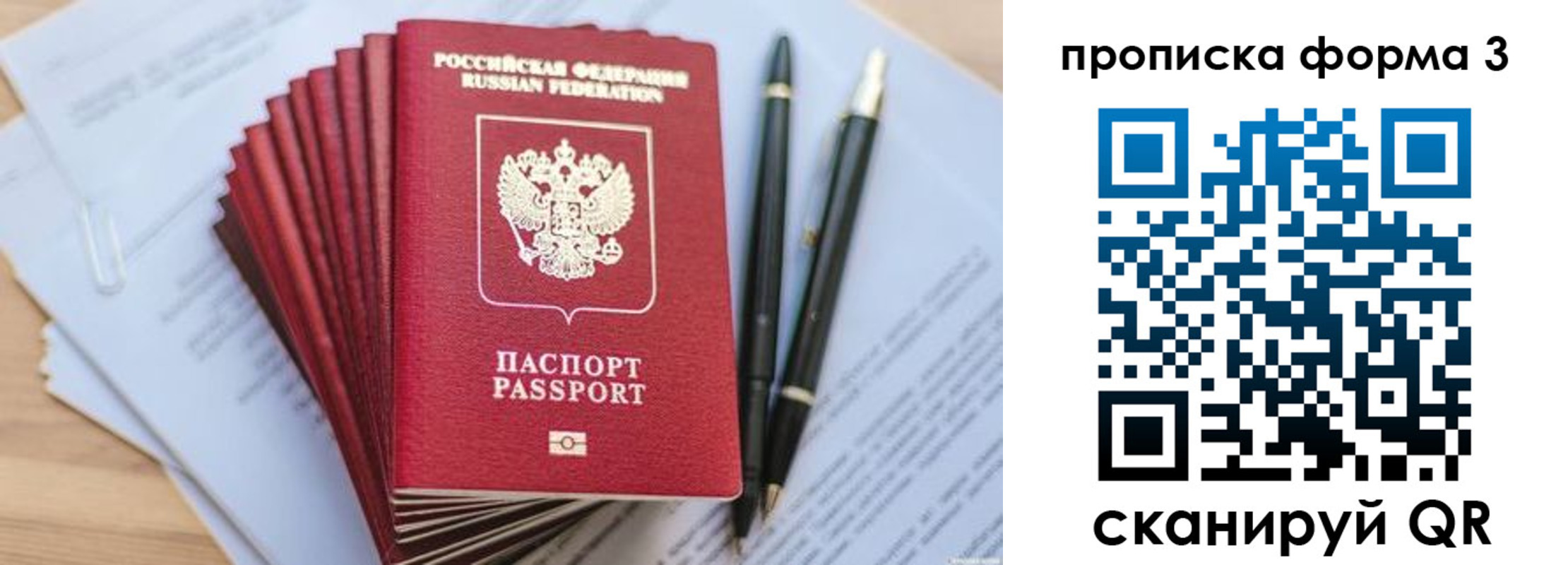 прописка штамп в Светлогорске