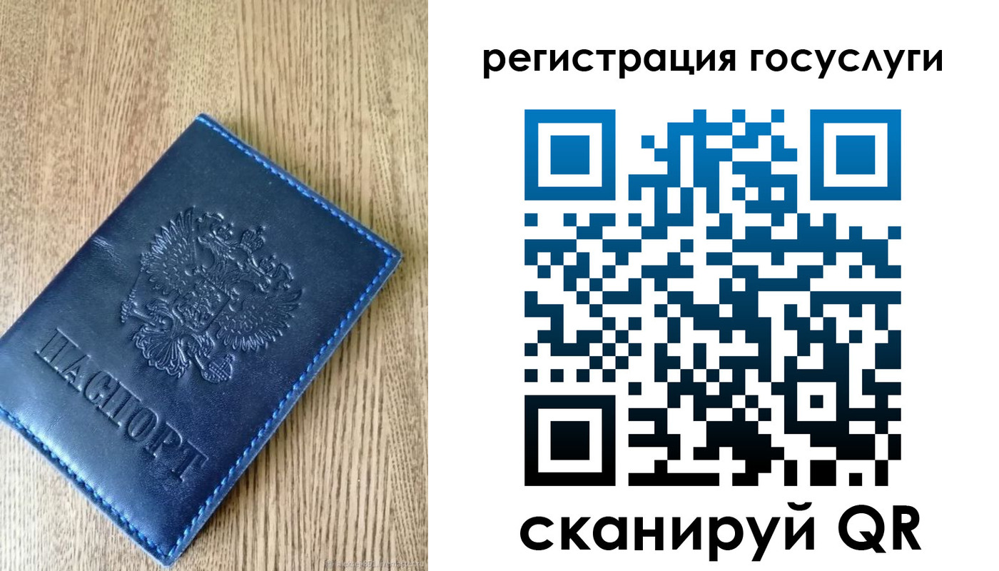 прописка в Светлогорске